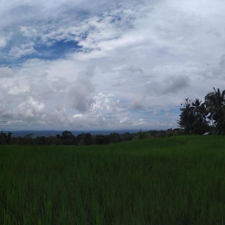 Tegal Jero Homestay Jatiluwih Εξωτερικό φωτογραφία