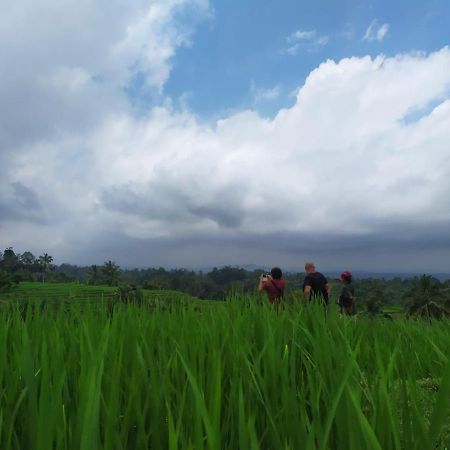 Tegal Jero Homestay Jatiluwih Εξωτερικό φωτογραφία