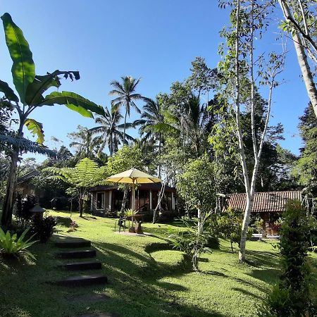 Tegal Jero Homestay Jatiluwih Εξωτερικό φωτογραφία