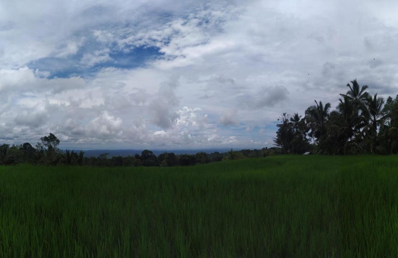 Tegal Jero Homestay Jatiluwih Εξωτερικό φωτογραφία