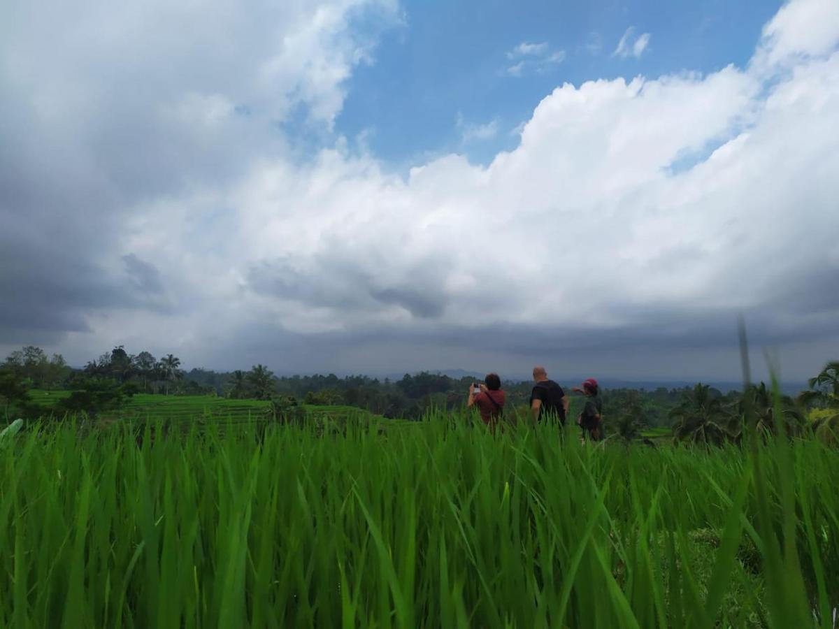 Tegal Jero Homestay Jatiluwih Εξωτερικό φωτογραφία