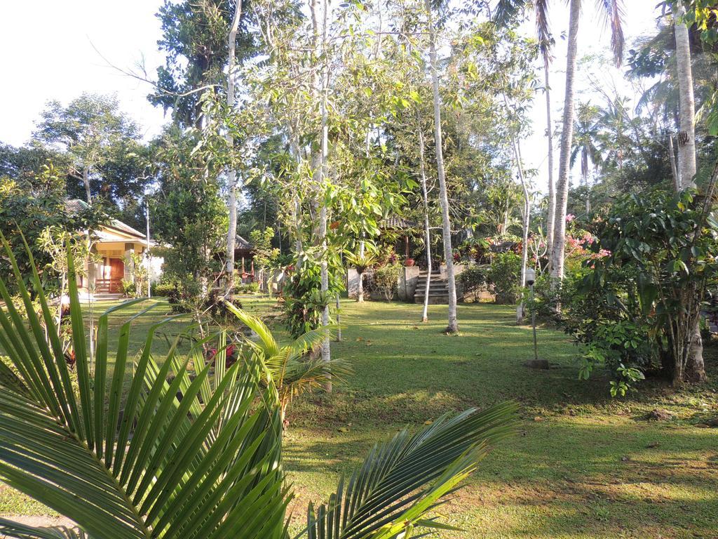 Tegal Jero Homestay Jatiluwih Εξωτερικό φωτογραφία
