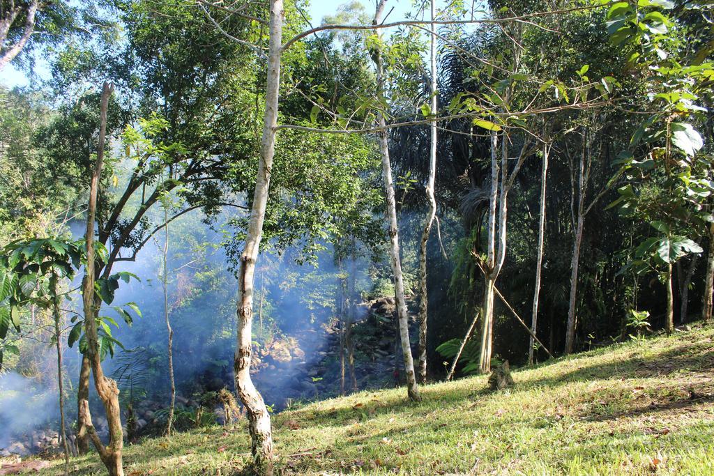 Tegal Jero Homestay Jatiluwih Εξωτερικό φωτογραφία