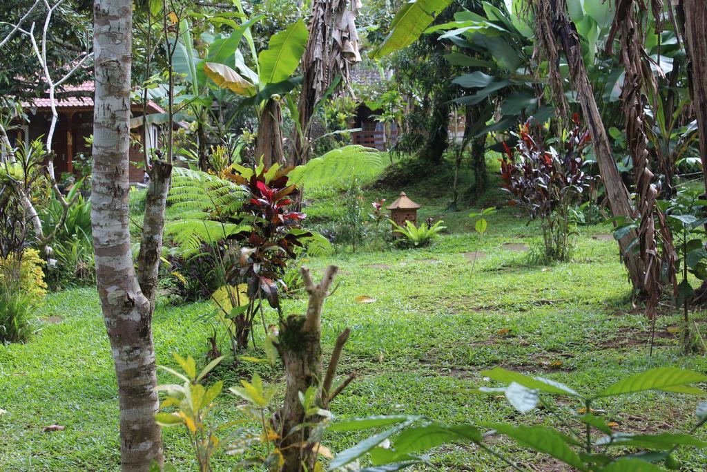 Tegal Jero Homestay Jatiluwih Εξωτερικό φωτογραφία