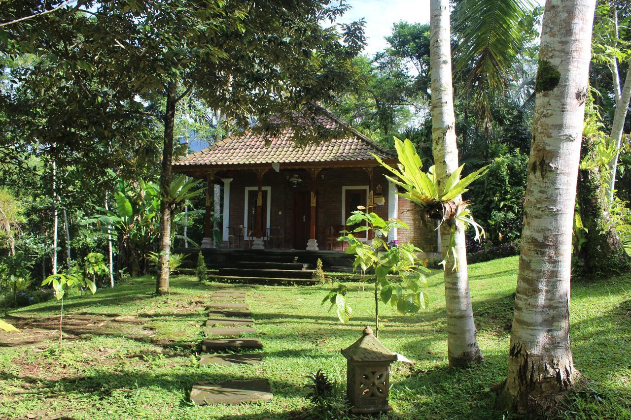 Tegal Jero Homestay Jatiluwih Εξωτερικό φωτογραφία
