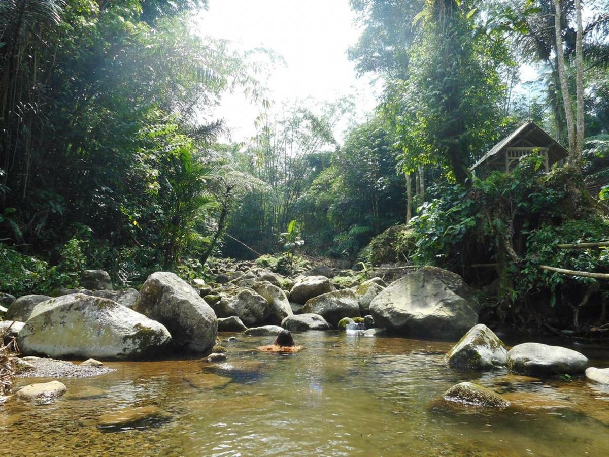 Tegal Jero Homestay Jatiluwih Εξωτερικό φωτογραφία