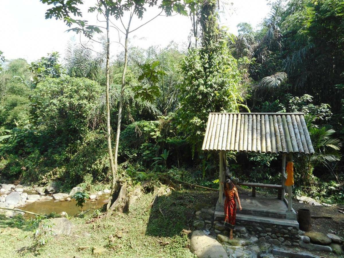 Tegal Jero Homestay Jatiluwih Εξωτερικό φωτογραφία