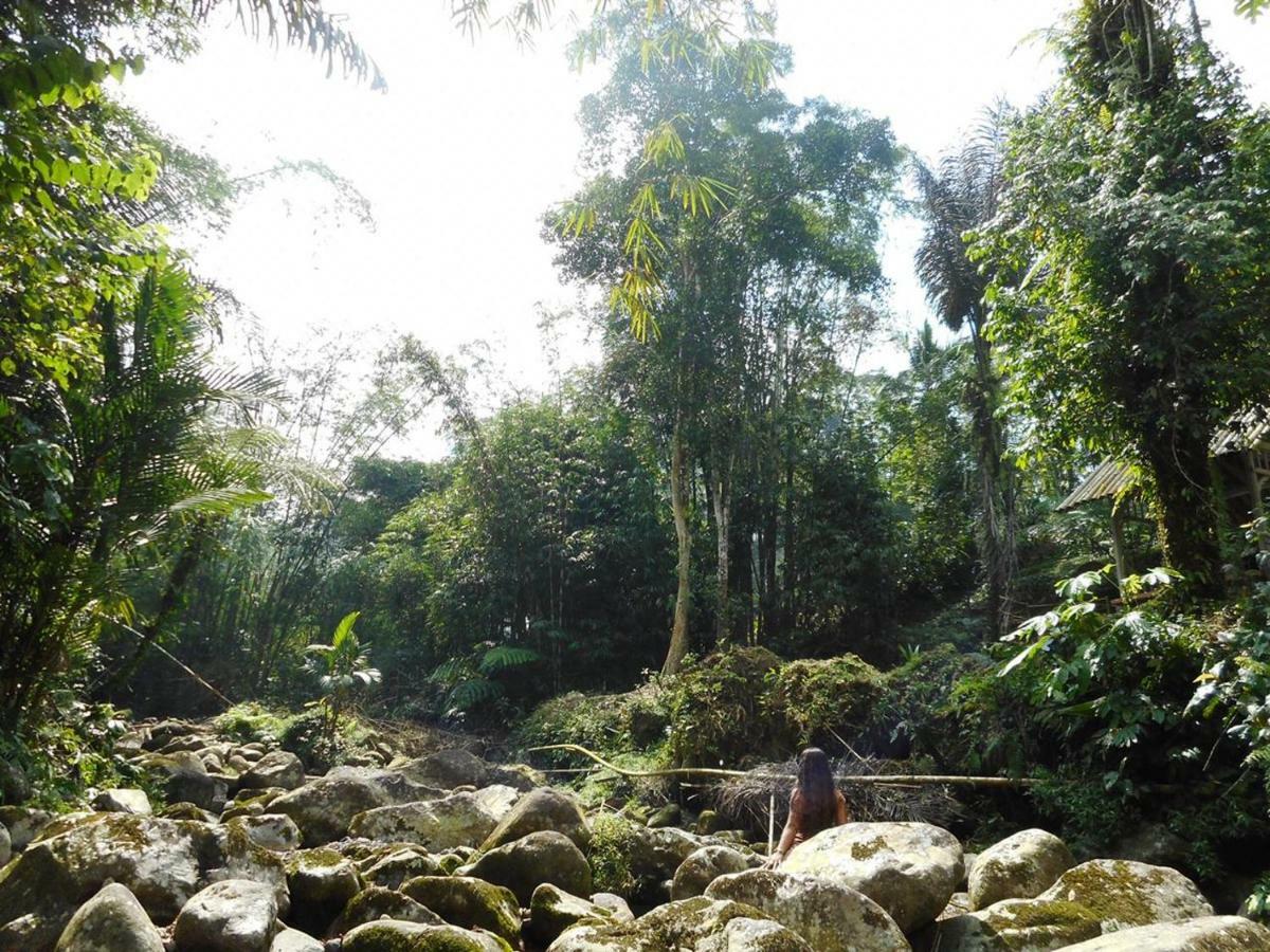 Tegal Jero Homestay Jatiluwih Εξωτερικό φωτογραφία