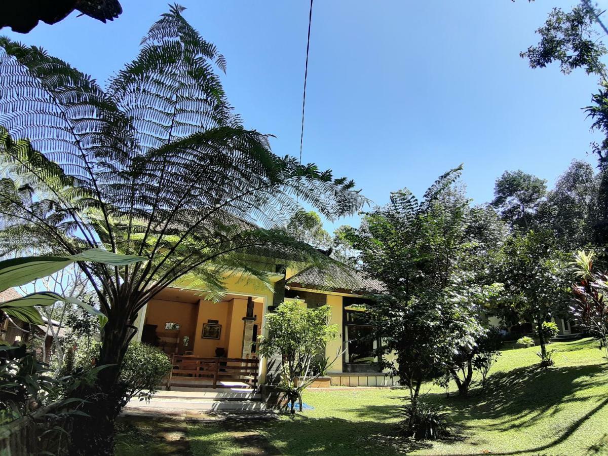 Tegal Jero Homestay Jatiluwih Εξωτερικό φωτογραφία