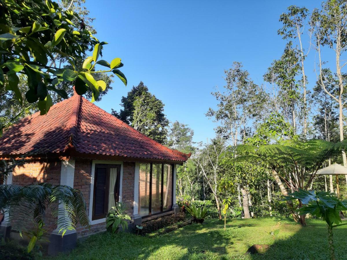 Tegal Jero Homestay Jatiluwih Εξωτερικό φωτογραφία