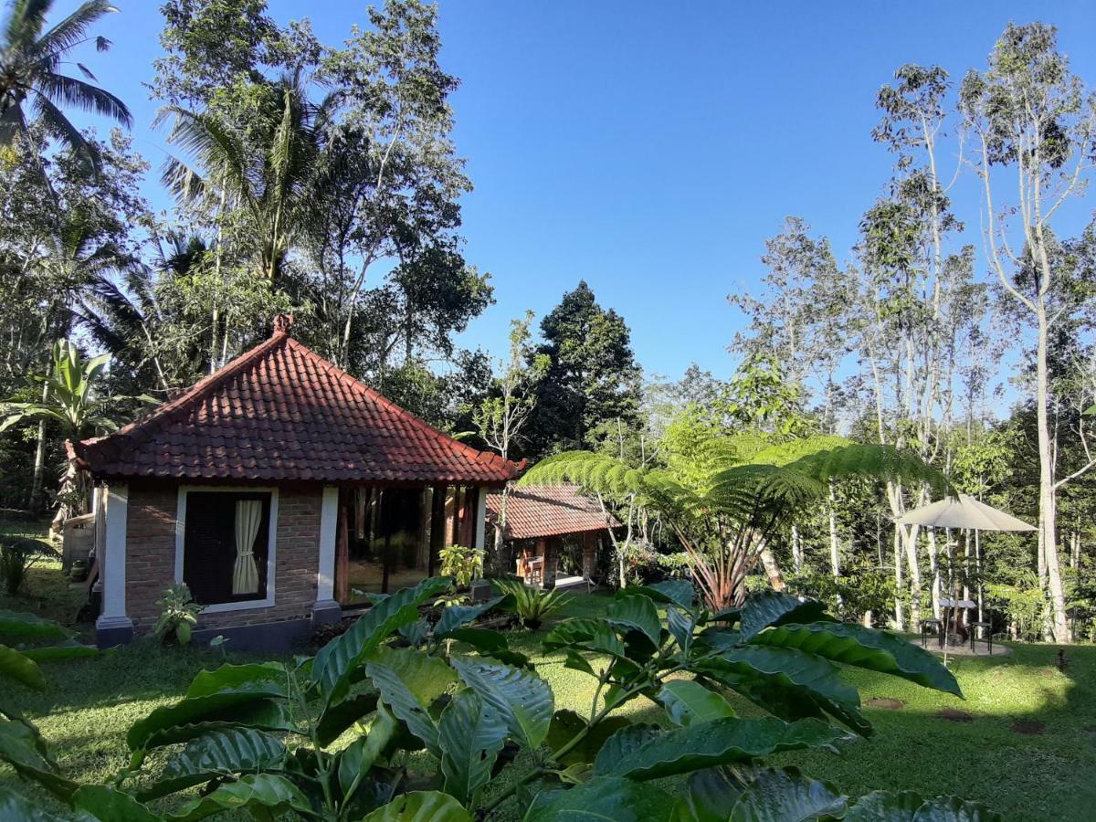 Tegal Jero Homestay Jatiluwih Εξωτερικό φωτογραφία