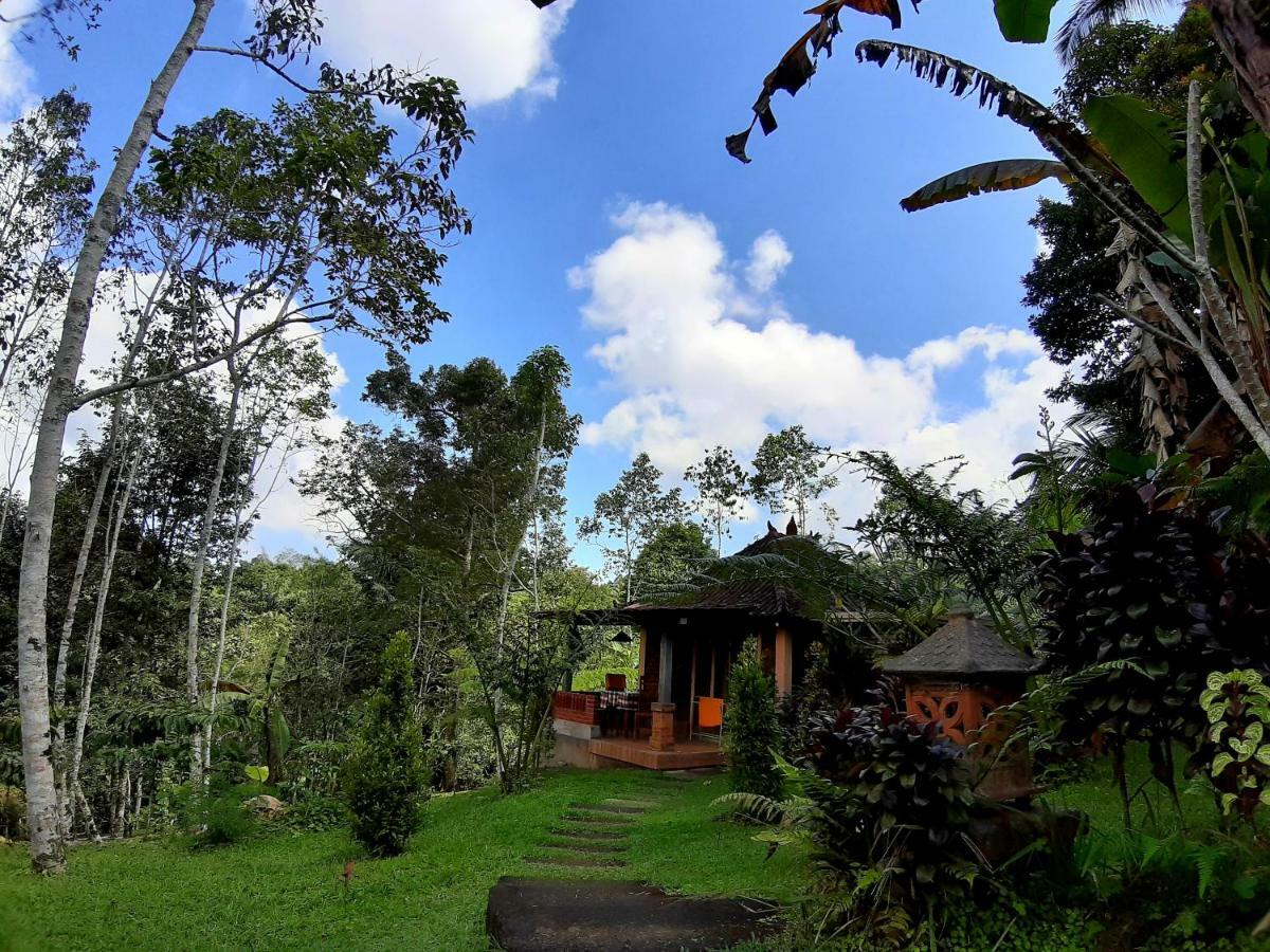 Tegal Jero Homestay Jatiluwih Εξωτερικό φωτογραφία