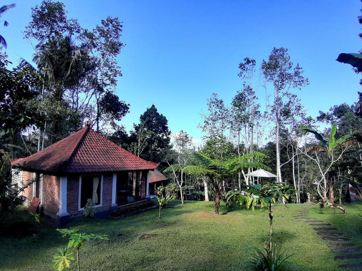 Tegal Jero Homestay Jatiluwih Εξωτερικό φωτογραφία